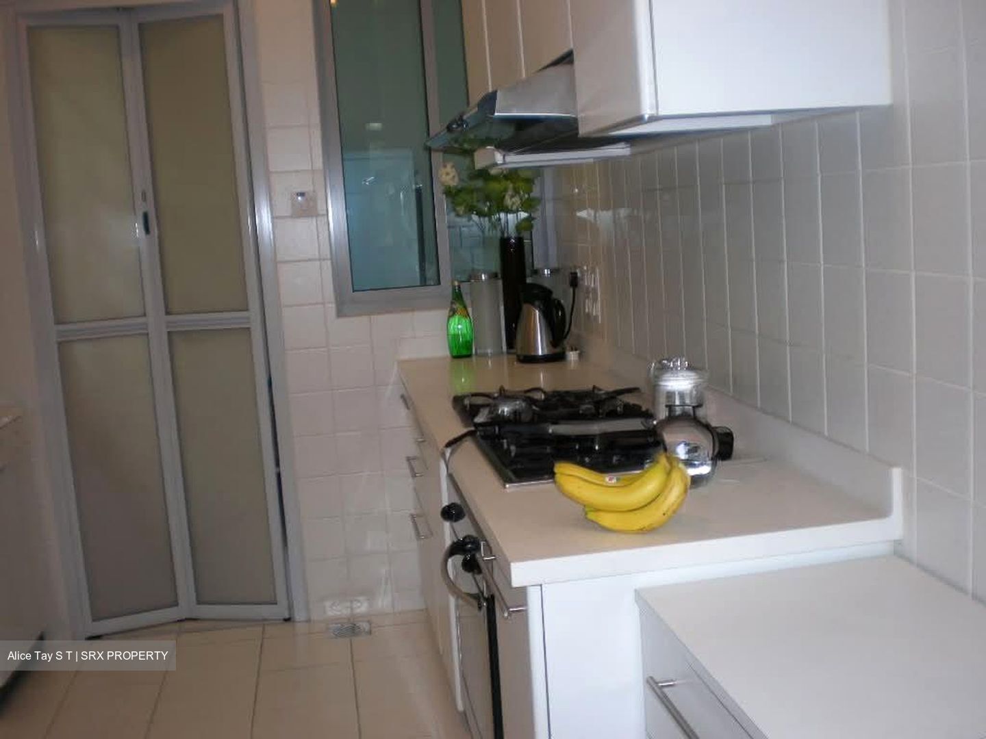 The Equatorial (D10), Condominium #599723971